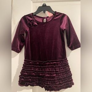 Purple Velvet 12 month dress